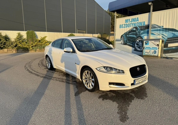 Jaguar XF cena 47000 przebieg: 203000, rok produkcji 2012 z Radzymin małe 67